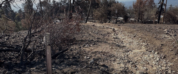 The Altadena Crest Trail, post-Eaton Fire.