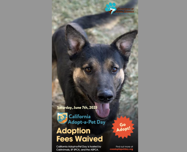 Pet adoption fees waived.